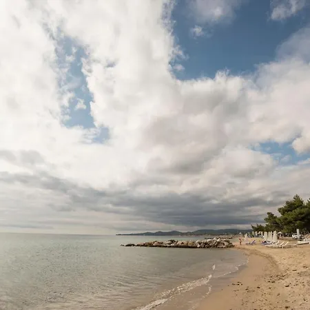 Seasidelongo 1 Min From The Of