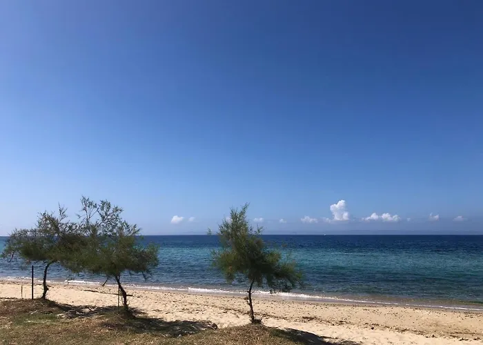 Seasidelongo 1 Min From The Of * Nikiti (Sithonia)